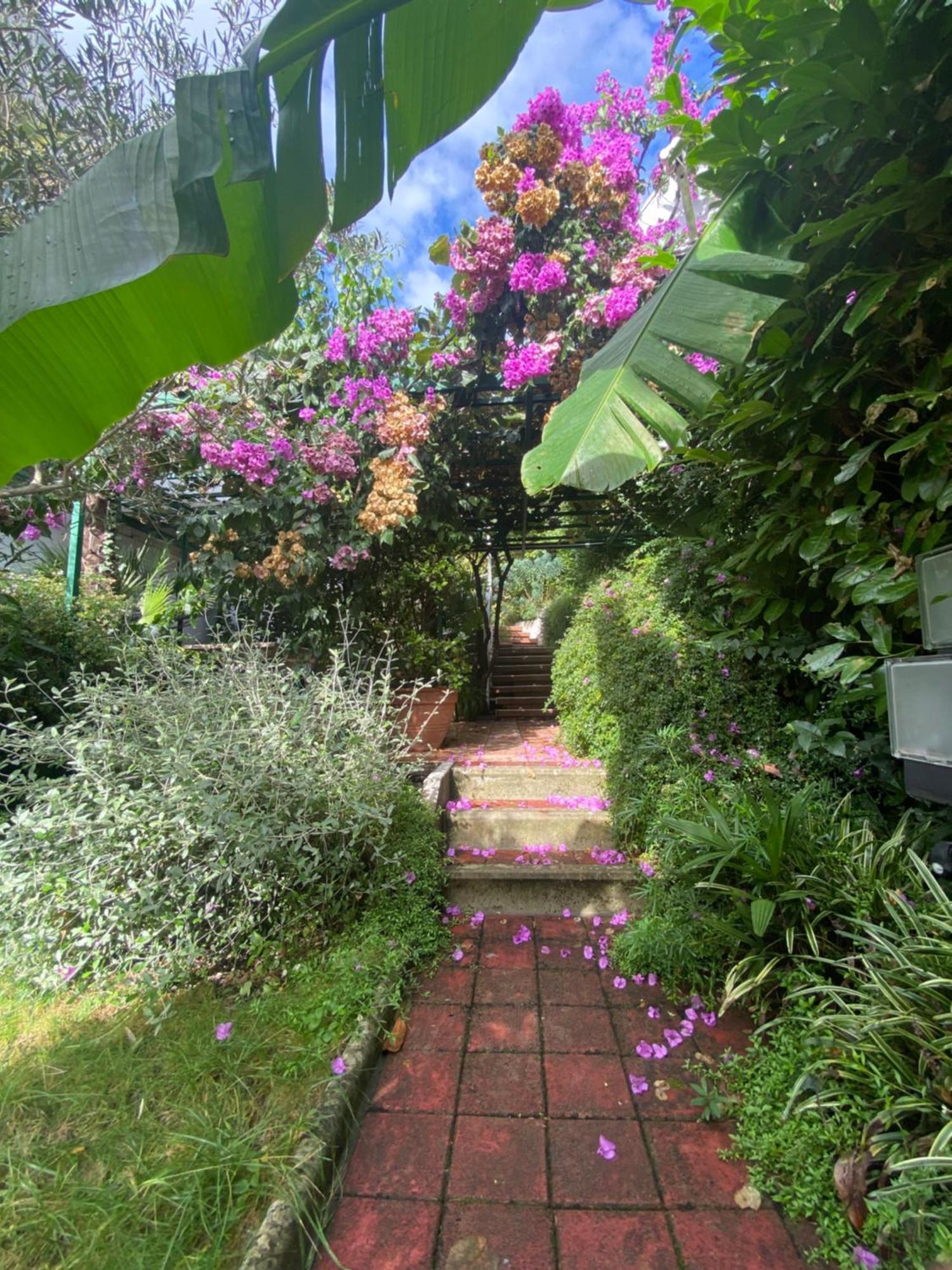 Sunny Garden Apartment Opatija Exterior foto